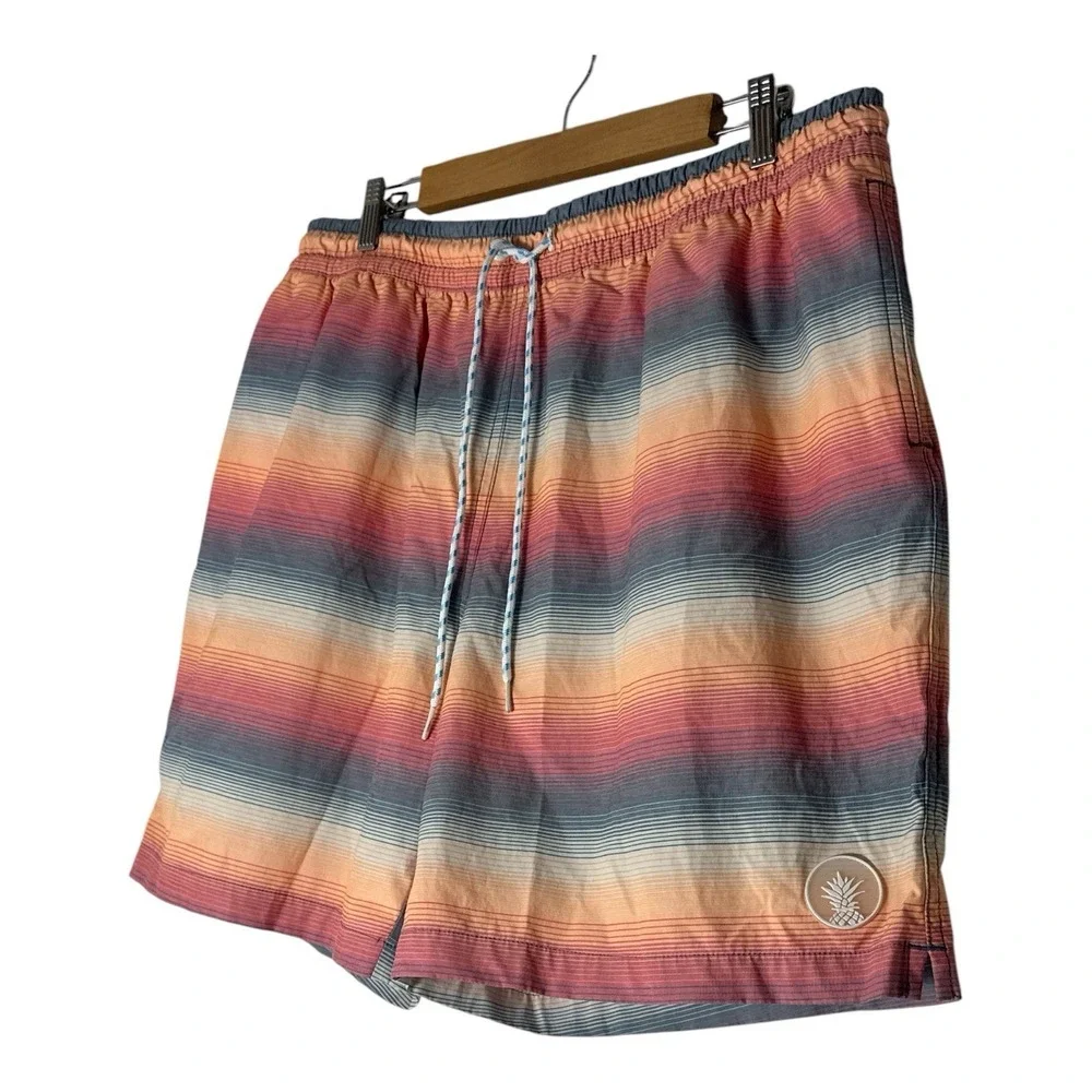 chubbies these swim